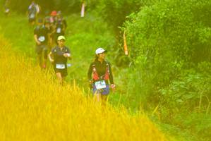 BIB: 
                            <button type="button" onclick="openModal(13455924)" class="btn btn-primary btn-sm float-right btn-popup" data-toggle="modal" data-target=".modal-high-quality">
                        <i class="fas fa-shopping-cart"></i> Add to Cart
                    </button>
                                            <button type="button" onclick="isThisMe(13455924, true)" class="btn btn-success btn-sm float-right btn-popup btn-isme hidden" data-toggle="tooltip" data-placement="bottom" title="นี่คือรูปของคุณใช่ไหม คลิกที่นี่เพื่อเอาเข้าอัลบั้ม">
                        <i class="fas fa-plus"></i> Add to album
                    </button>
                    <button type="button" onclick="isThisMe(13455924, false)" class="btn btn-warning btn-sm float-right btn-popup btn-isnotme hidden">
                        <i class="fas fa-ban"></i> Remove from album
                    </button>